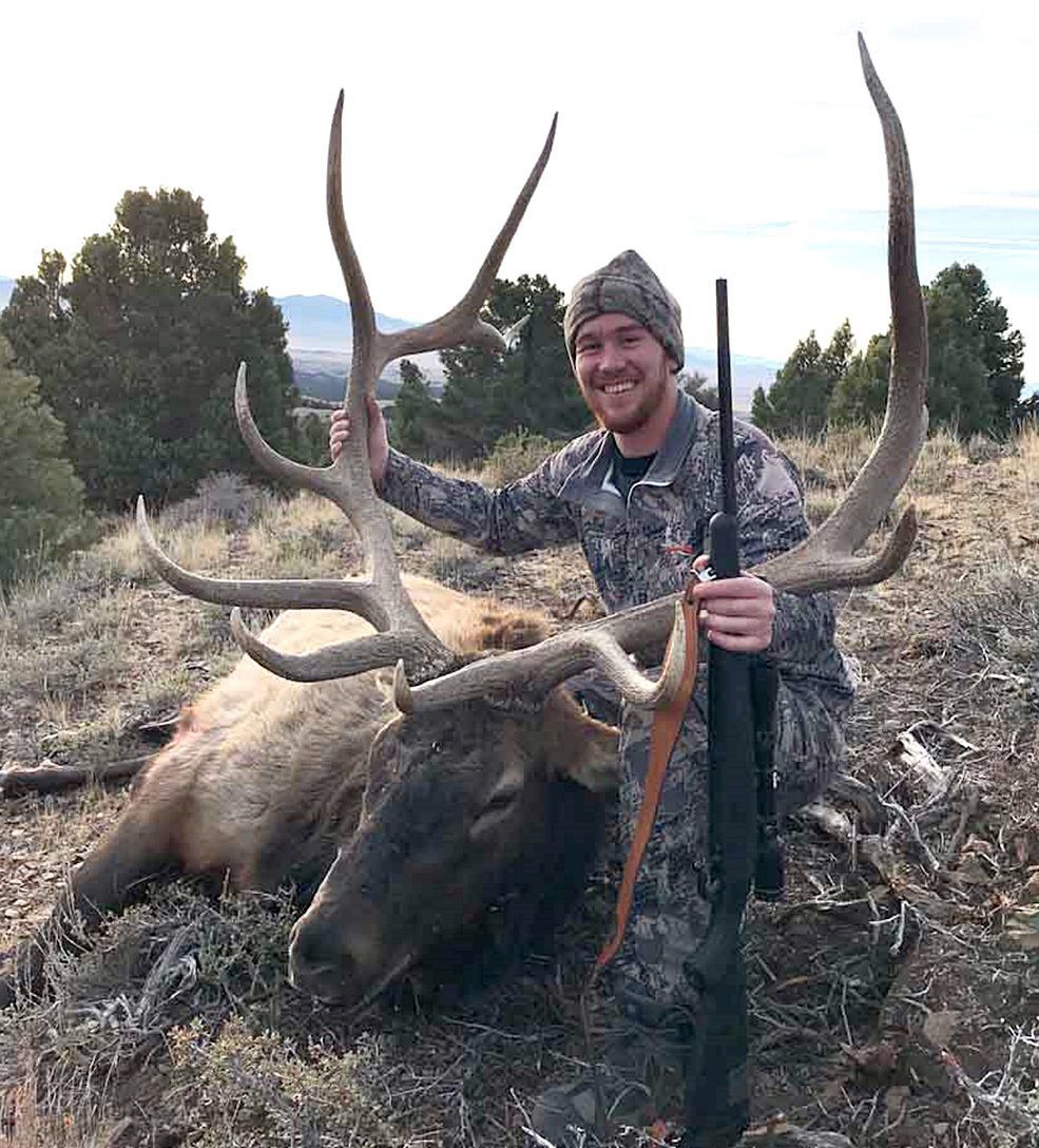 Boyce elk